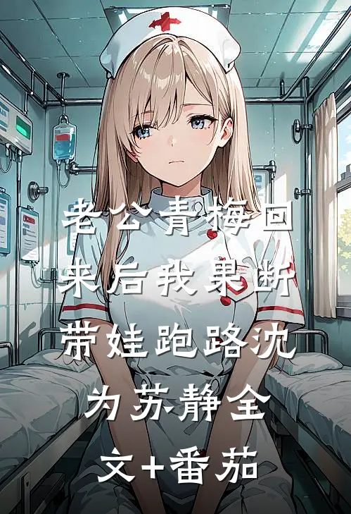 老公青梅回来后我果断带娃跑路沈为苏静全文+番茄