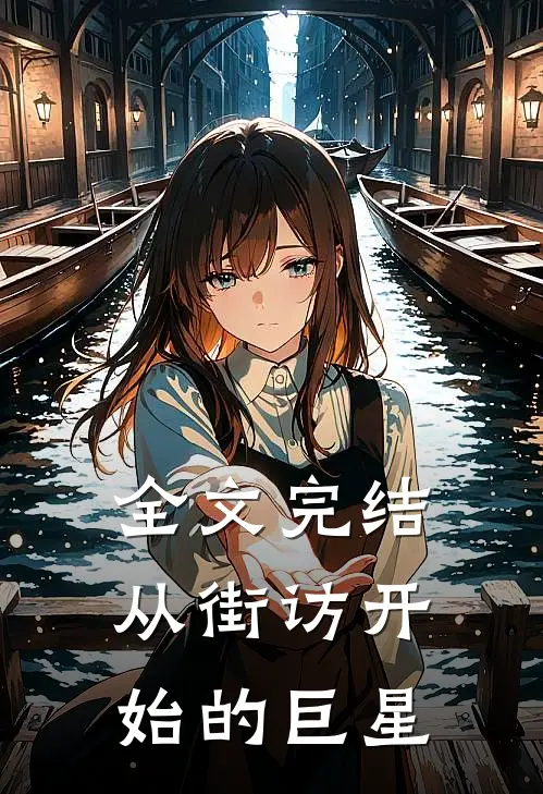 全文完结从街访开始的巨星