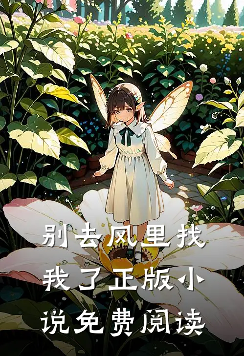别去风里找我了正版小说免费阅读