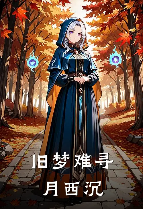 旧梦难寻月西沉