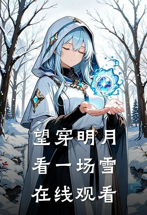 望穿明月，看一场雪在线观看