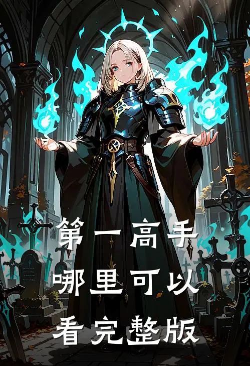 第一高手哪里可以看完整版