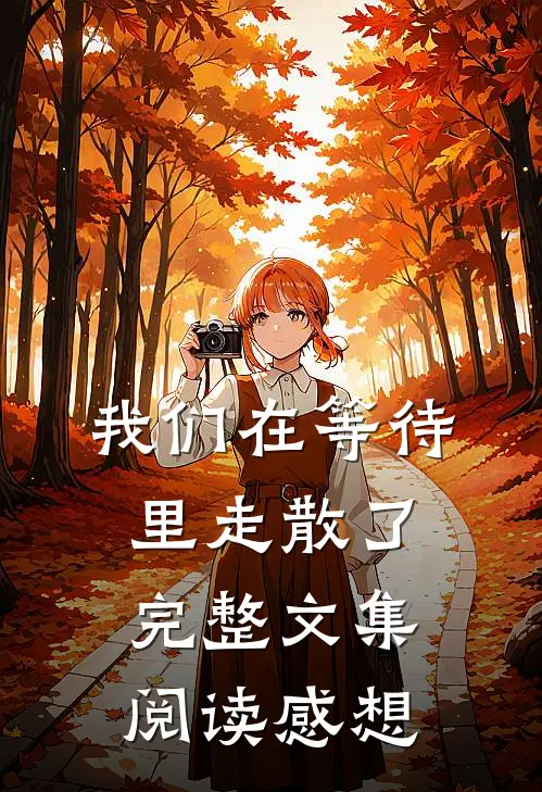 我们在等待里走散了完整文集阅读感想