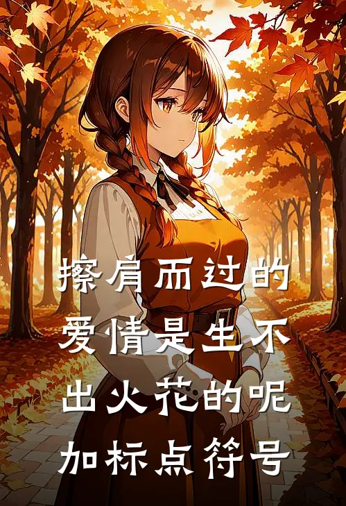 擦肩而过的爱情是生不出火花的呢加标点符号