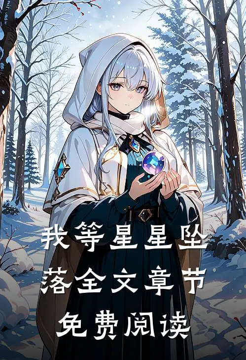 我等星星坠落全文章节免费阅读