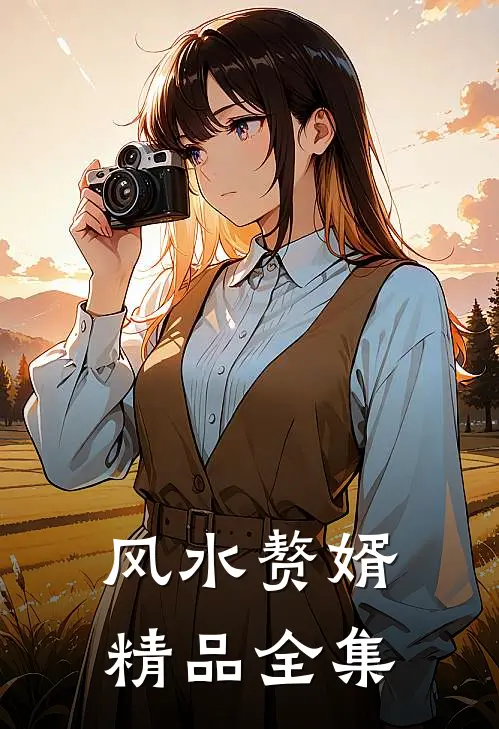 风水赘婿精品全集