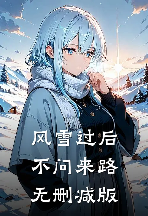 风雪过后，不问来路无删减版