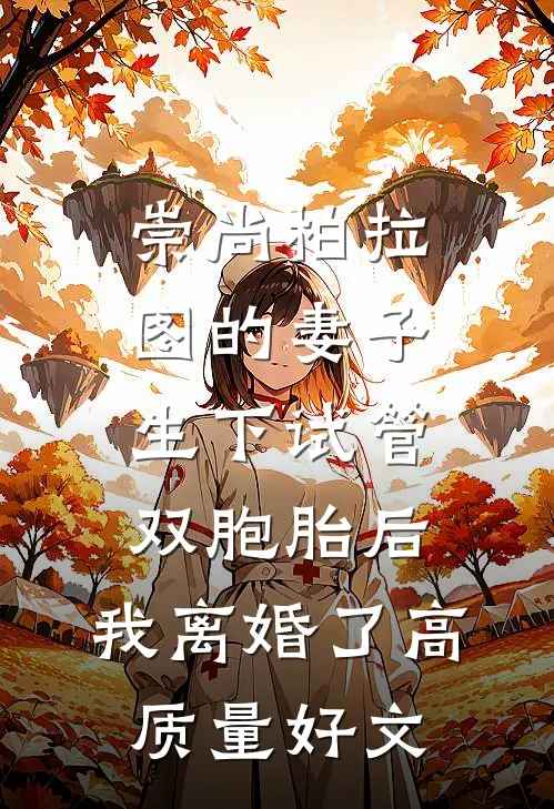 崇尚柏拉图的妻子生下试管双胞胎后，我离婚了高质量好文