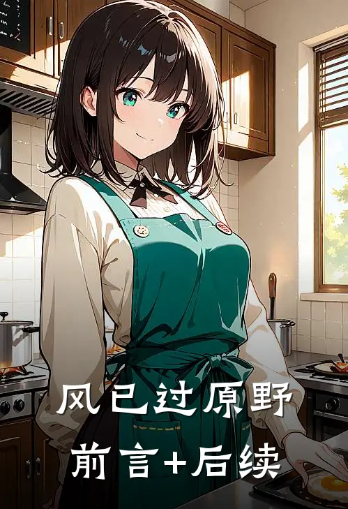 风已过原野前言+后续
