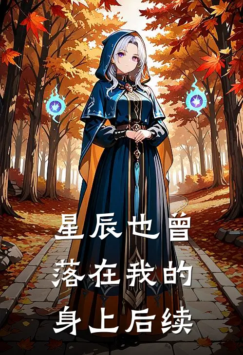 星辰也曾落在我的身上后续