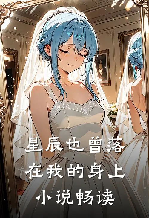 星辰也曾落在我的身上小说畅读