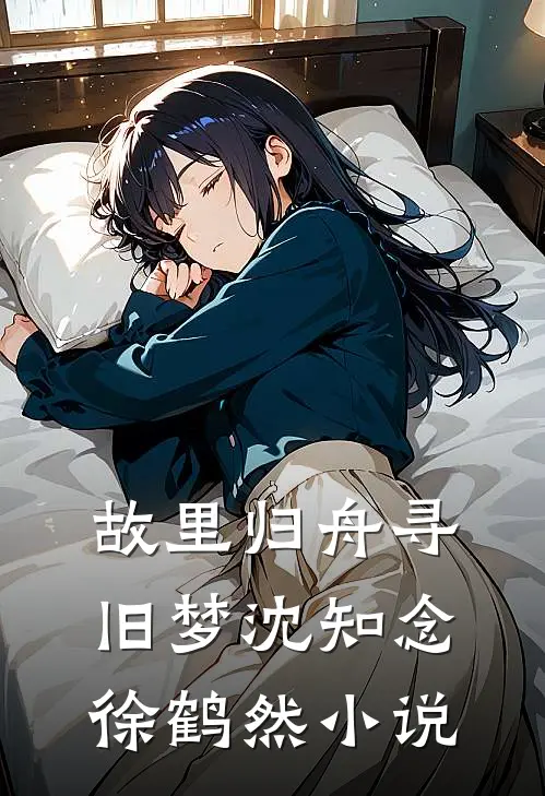 故里归舟寻旧梦沈知念徐鹤然小说