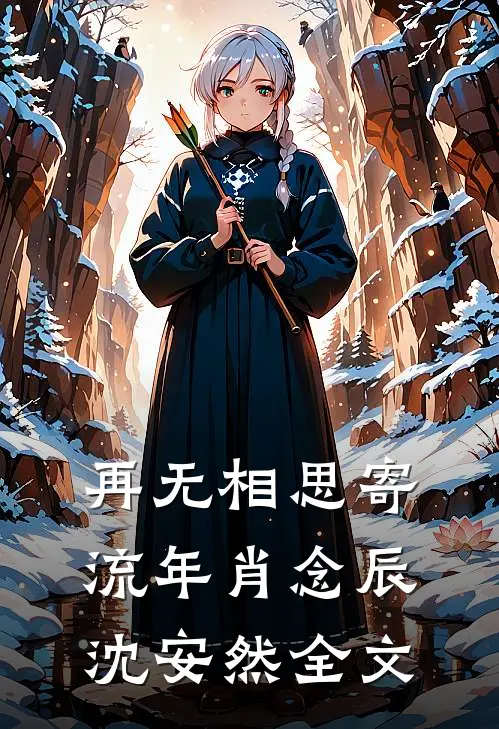 再无相思寄流年肖念辰沈安然全文