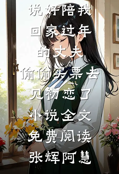 说好陪我回家过年的丈夫，偷偷买票去见初恋了小说全文免费阅读张辉阿慧
