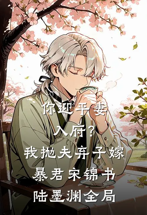 你迎平妻入府？我抛夫弃子嫁暴君宋锦书陆墨渊全局