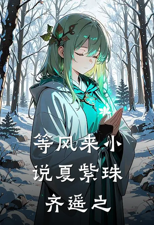 等风来小说夏紫珠齐遥之