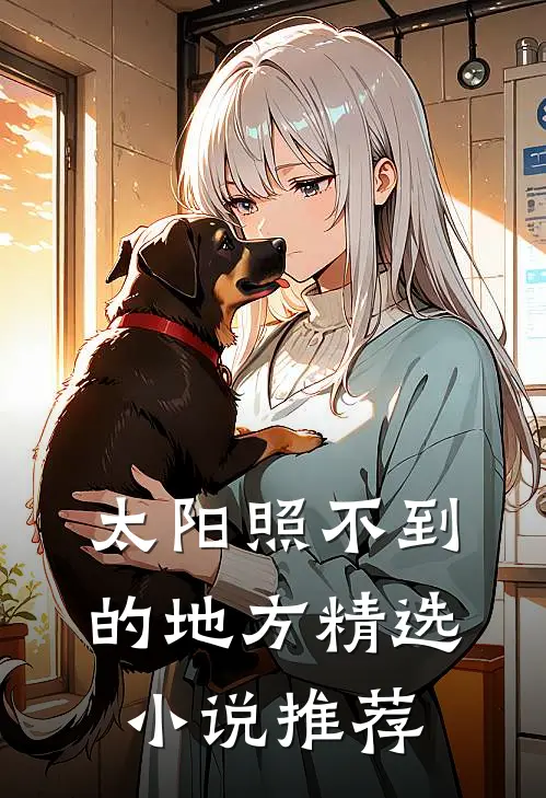 太阳照不到的地方精选小说推荐
