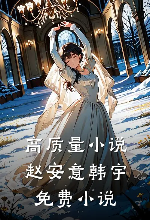 高质量小说赵安意韩宇免费小说
