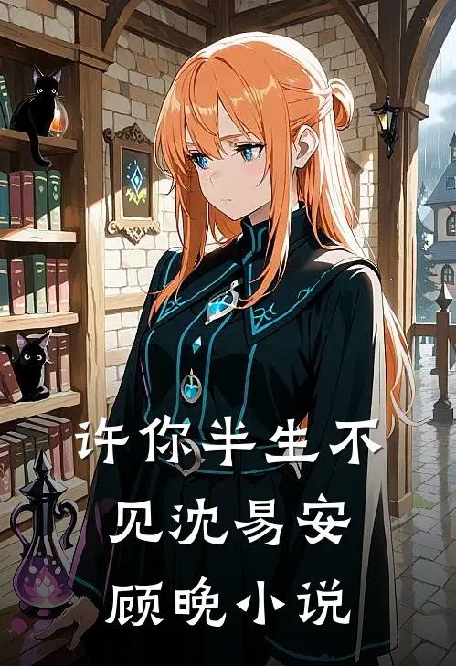 许你半生不见沈易安顾晚小说