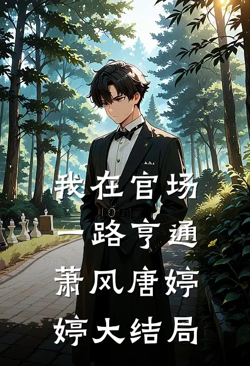 我在官场一路亨通萧风唐婷婷大结局