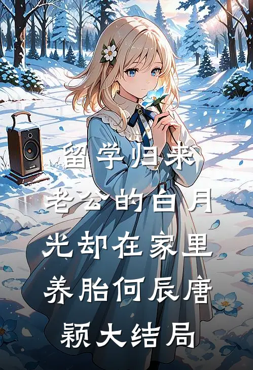 留学归来，老公的白月光却在家里养胎何辰唐颖大结局