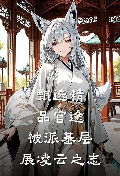 甄选精品官途：被派基层，展凌云之志