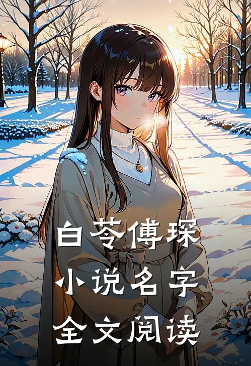 白苓傅琛小说名字全文阅读