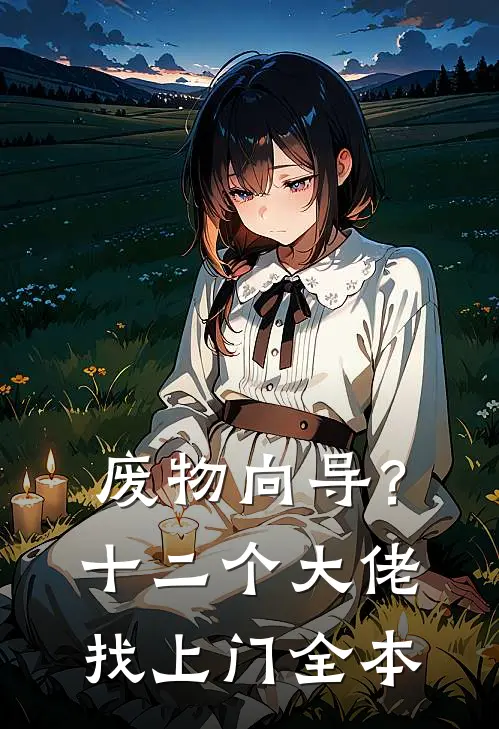 废物向导？十二个大佬找上门全本