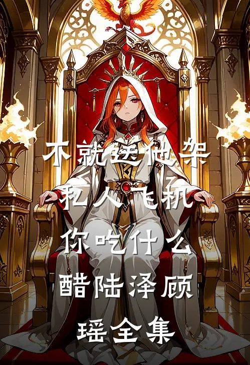 不就送他架私人飞机，你吃什么醋陆泽顾瑶 全集