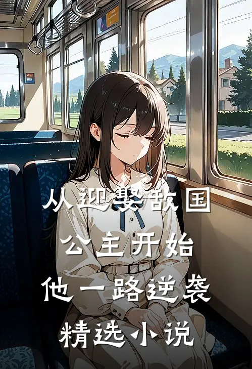 从迎娶敌国公主开始，他一路逆袭精选小说