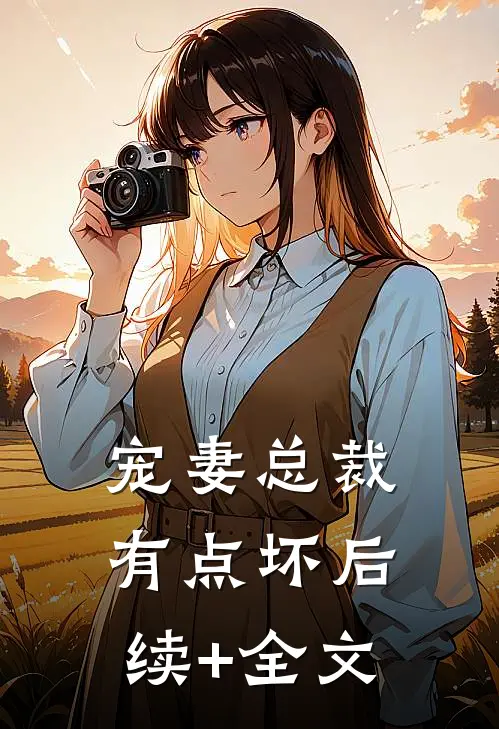 宠妻总裁有点坏后续+全文