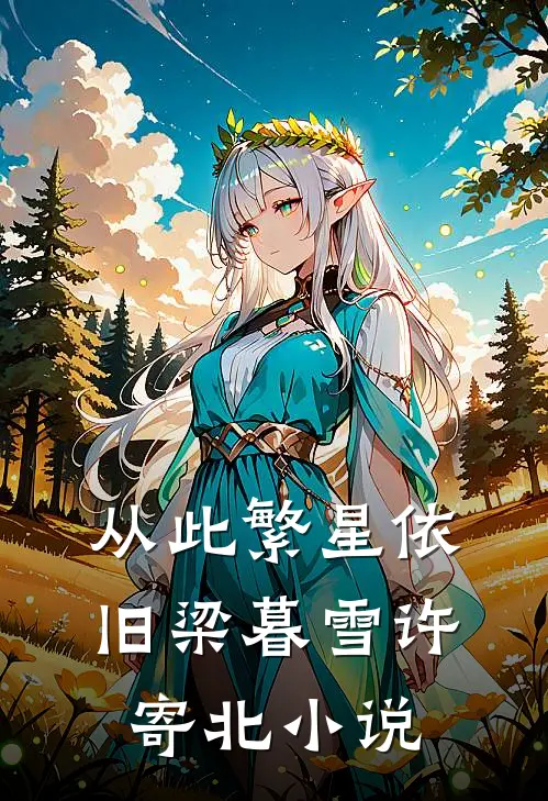 从此繁星依旧梁暮雪许寄北小说